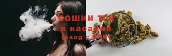 дживик Белокуриха