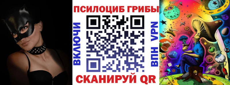 Псилоцибиновые грибы Psilocybe  мега   Ярцево 